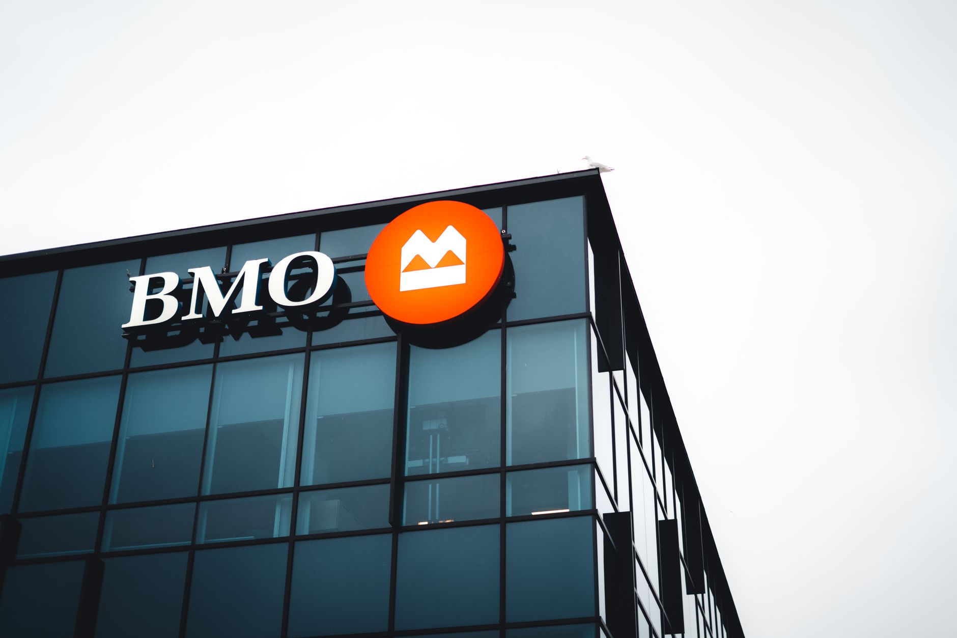 BMO Capital Netflix Rating: Is it the Best Buy Opportunity?