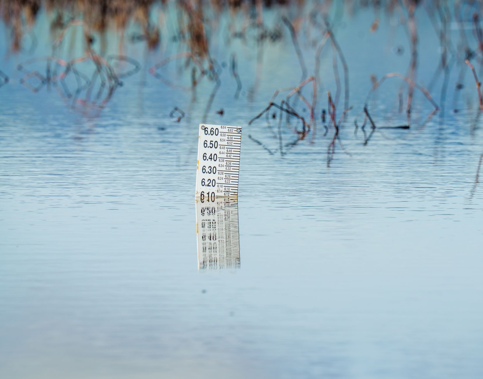 sea-level rise impact