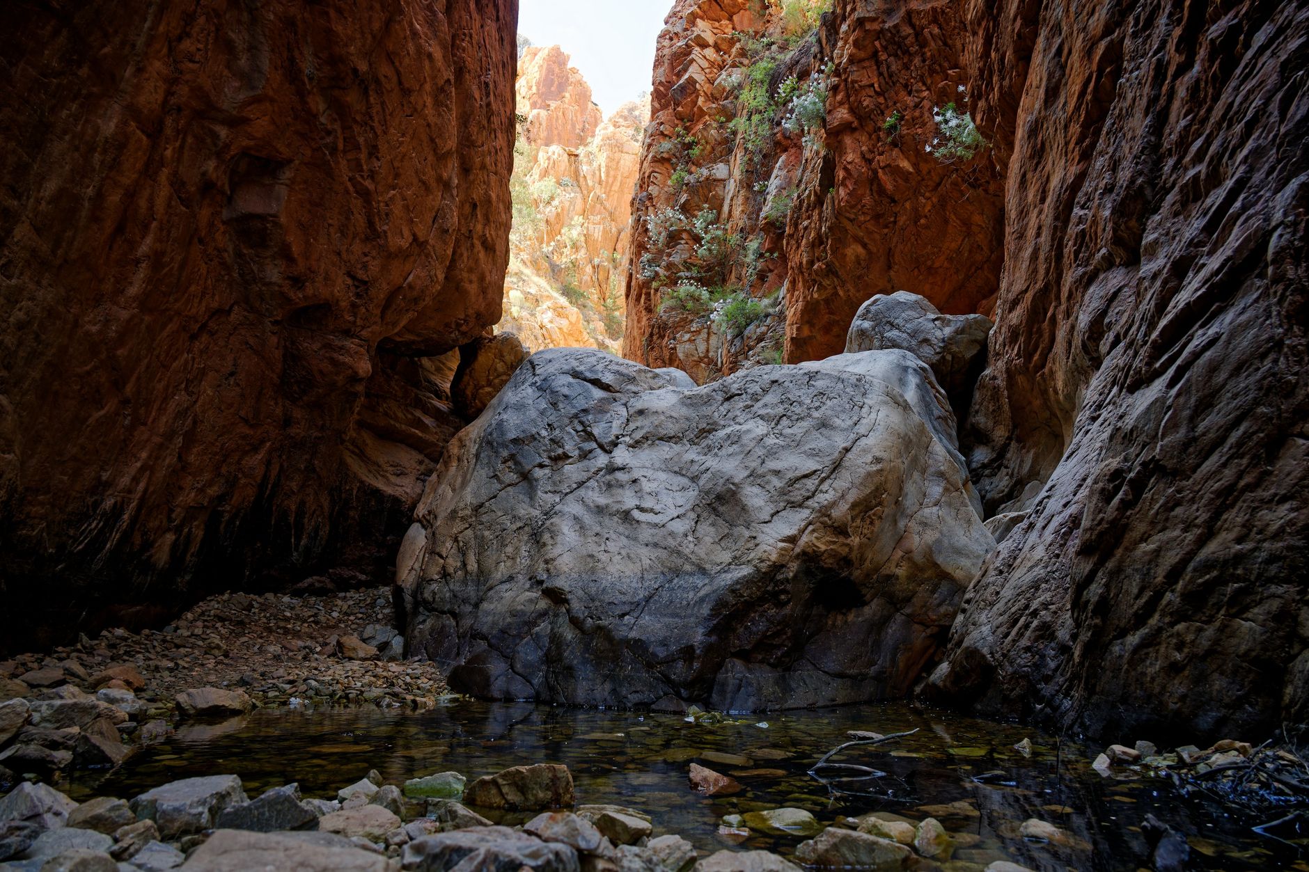 Alice Springs news